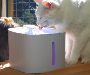 Starlyf Pet Fountain a 49,99€